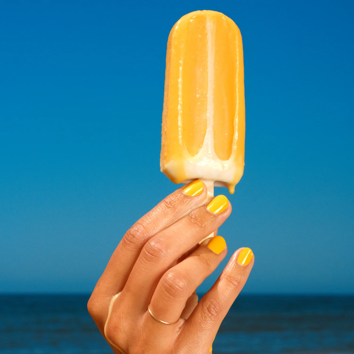 Nonna's Sorbet - Image 2