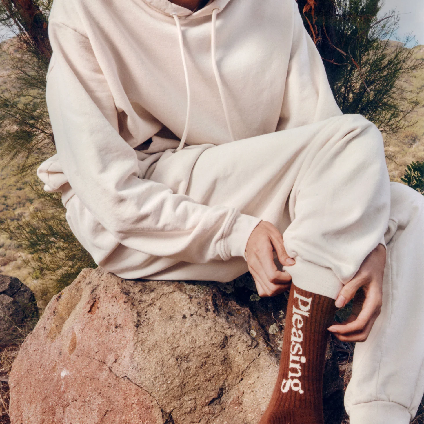 The Pleasing Sweatpant in Brown - Image 3